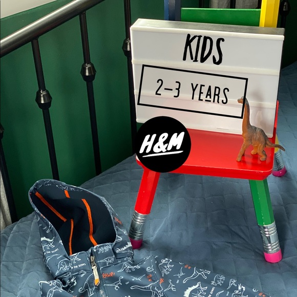 H&M Other - Dinosaur Jacket